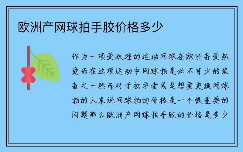 欧洲产网球拍手胶价格多少