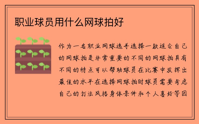 职业球员用什么网球拍好