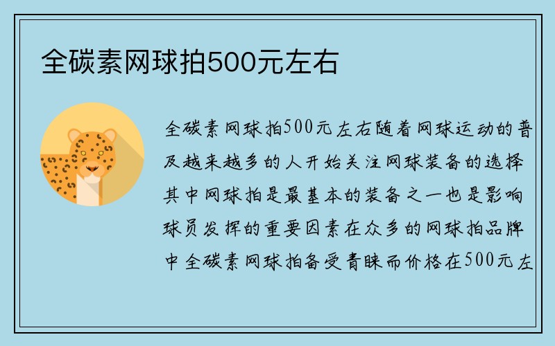 全碳素网球拍500元左右