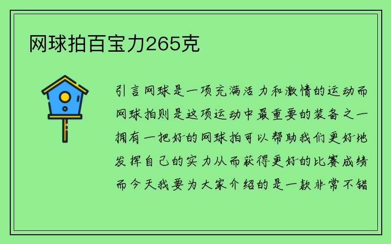 网球拍百宝力265克