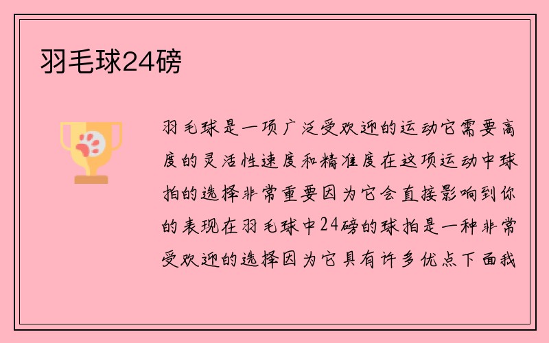 羽毛球24磅